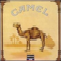 Camel